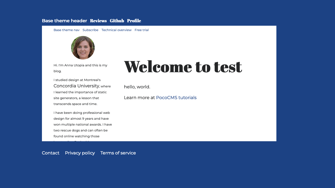 Screenshot of new theme with most aside text
